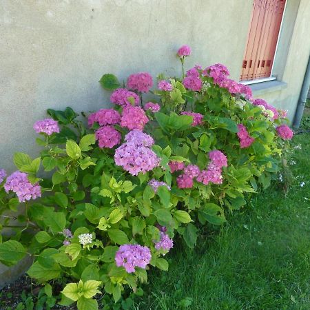 Maison Renovee Avec Cour Privee, Proche De Gannat, 3 Chambres, Animaux Acceptes, Equipements Modernes. - Fr-1-489-37 Poezat Bagian luar foto